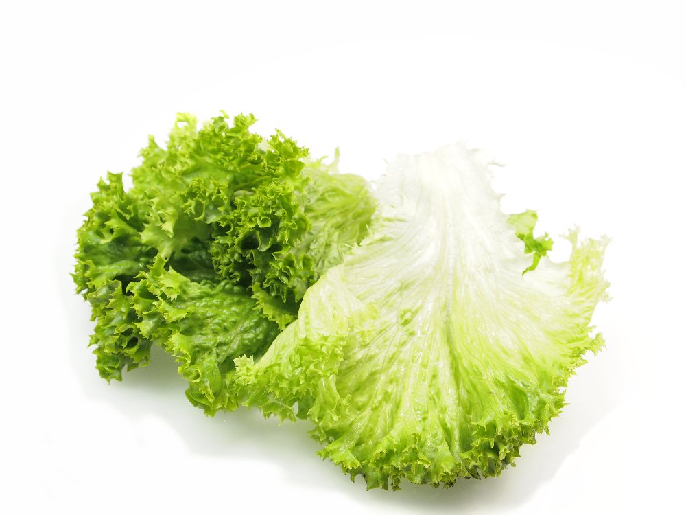 Frisch Frucht Sortiment KW52-01 FF Lollo Bionda ganze Blätter